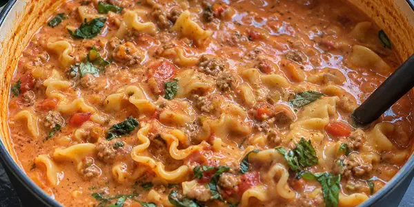 lasagnekeitto.png
